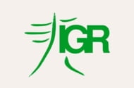 IGR Energéticos