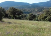 Non developable plot for sale in Calle Cañada de Alfares, Talavera de la Reina, ref: TR7703 photo