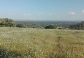Non developable plot for sale in Calle Cañada de Alfares, Talavera de la Reina, ref: TR7703 photo
