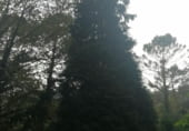 Land for sale in Urdúliz ref: TR26059 photo