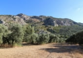 Non developable plot for sale in Villanueva del Rosario ref: TR52934 photo