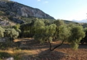 Non developable plot for sale in Villanueva del Rosario ref: TR52934 photo