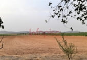 Land for sale in Valdepeñas ref: TR93162 photo