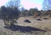 Sòl urbà en venda a Vereda de Aldeanueva, Fresno de Cantespino, ref: TR106744 foto