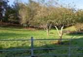 Urban land for sale in San Roque l&#039;Acebal, Llanes, ref: TR111022 photo