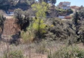 Developable plot for sale in Abrera ref: TR109643 photo