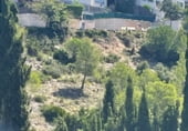 Developable plot for sale in Mas Alba, Sant Pere de Ribes, ref: TR187953 photo