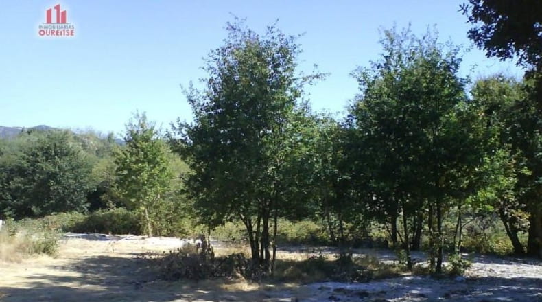 Orense - Fontes - 4106m2