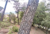 Developable plot for sale in España, Matadepera, ref: TR119951 photo