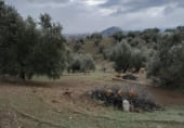 Chalet independiente con terreno en venta en la España, Huelma, ref: TR157700 foto