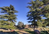 Land for sale in España, Ávila, ref: TR195517 photo