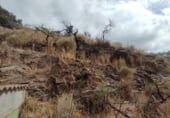 Developable plot for sale in España, Sayalonga, ref: TR197648 photo