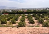 Terreny no urbanitzable en venda a España, Alhama de Murcia, ref: TR203074 foto
