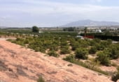Terreny no urbanitzable en venda a España, Alhama de Murcia, ref: TR203074 foto