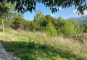 Non developable plot for sale in España, Súria, ref: TR205109 photo
