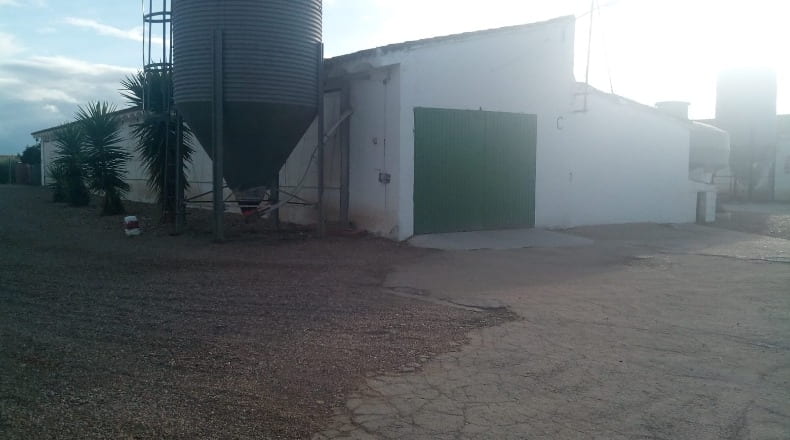 Badajoz - Badajoz - 8000m2