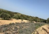 Parcela urbanizable en venta en la España, Morata de Tajuña, ref: TR218900 foto