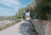Developable plot for sale in España, Santañy, ref: TR223887 photo