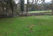 Villa with land for sale in España, Carrascal de San Miguel, ref: TR224824 photo