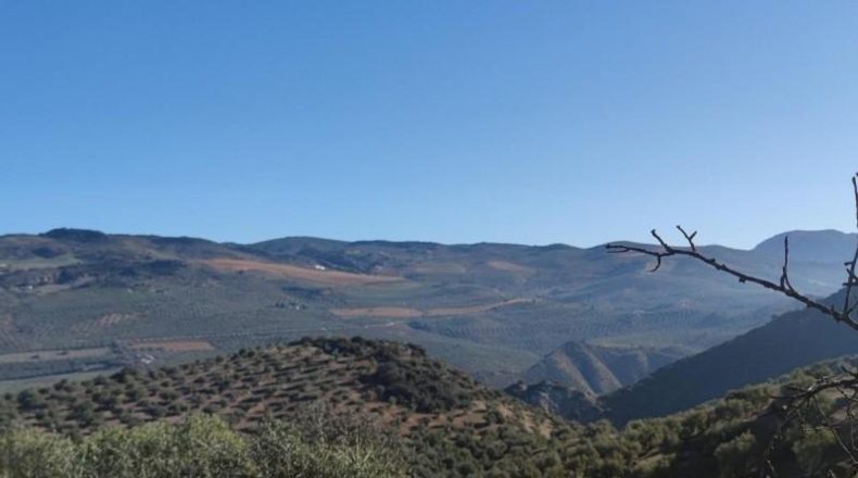 Málaga - Álora - 1156703m2