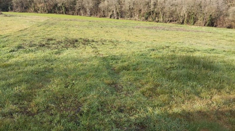 La Coruña - Reboredo de Abaixo - 5300m2