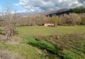 Land for sale in 43GH+867 EL TORNO, El Torno, ref: TR231859 photo