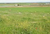 Non developable plot for sale in Miguelturra, ref: TR34863 photo