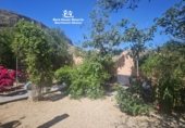 Land for sale in Cantoria ref: TR234666 photo
