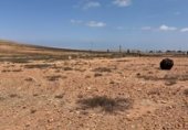 Land for sale in Calle Primero de Mayo, Puerto del Rosario, ref: TR234862 photo